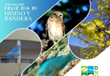 Directie Natuur en Milieu (DNM) ta cera diaranson 18 di maart en conexion cu Dia Nacional Himno y Bandera 2026