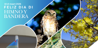 Directie Natuur en Milieu (DNM) ta cera diaranson 18 di maart en conexion cu Dia Nacional Himno y Bandera 2026