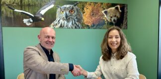 Aruba Conservation Foundation y Avifauna a Formalisa Colaboracion cu un MOU di 10 aña: E colaboracion aki ta amplia e Programa di Reintroduccion di Lora y ta yuda construi un poblacion di bida salvahe autosostenibel na Aruba
