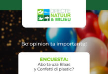 DNM ta lansa encuesta tocante e uzo di blaas y confetti den aire liber