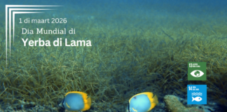 Dia Mundial di Yerba di Lama: Protehando un herencia marino esencial pa nos isla