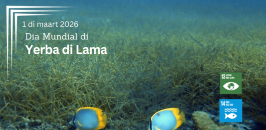 Dia Mundial di Yerba di Lama: Protehando un herencia marino esencial pa nos isla