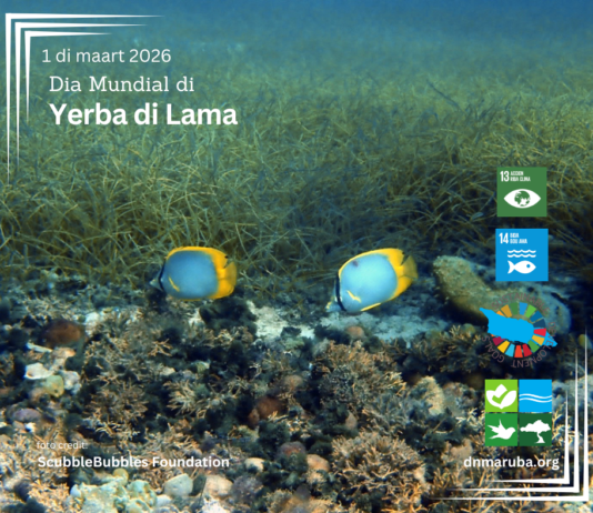 Dia Mundial di Yerba di Lama: Protehando un herencia marino esencial pa nos isla