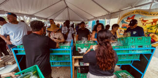 Minister Geoffrey Wever: Ta felicita Santa Rosa, Comision Pro Cunukeronan Arubiano y tur stakeholders cu un mercado exitoso y ta invita pueblo pa bishita e proximo mercado 21 maart