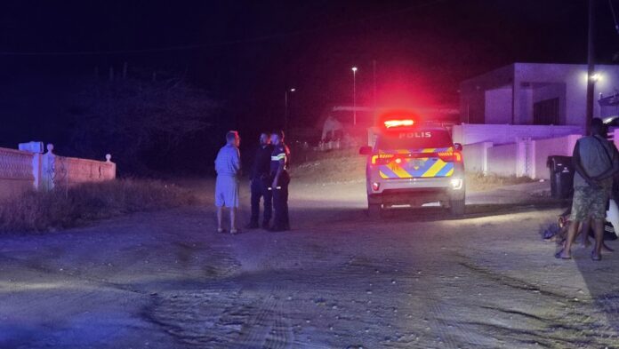 Puma_20260315_223547