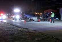 Criatura ta scapa, despues cu su mama burachi na stuur a bolter e auto