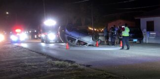 Criatura ta scapa, despues cu su mama burachi na stuur a bolter e auto