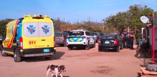 Yiu ta maltrata su mama seriamente