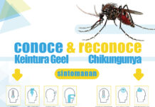 Conoce y Reconoce sintomanan di Chikungunya y Keintura Geel