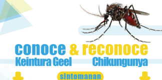 Conoce y Reconoce sintomanan di Chikungunya y Keintura Geel