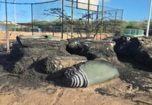 Centro di Bario Noord ta victima di un racha di vandalismo: “Nos mester protehe e lugar unda nos muchanan di Noord ta crece y desaroya”