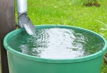 DVG cu yamado pa accion contra criadero di sangura