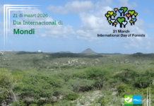 Observacion di Dia Internacional di Mondi 2026: Mondi y Economia: E Motor Silencioso di Prosperidad