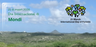 Observacion di Dia Internacional di Mondi 2026: Mondi y Economia: E Motor Silencioso di Prosperidad