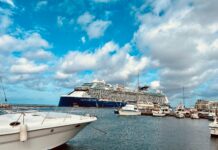 Ursell Arends (RAIZ): Pa un Aruba dushi pa Biba ta rekeri pa “gara e toro na su cacho”: Esaki ta nifica atende cu e aspectonan cu ta cabando cu e “One Happy Island” pa nos naturalesa, nos hendenan y e sector di turismo