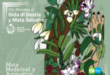 Directie Natuur en Milieu ta conmemora Dia Mundial di Bida di Bestia y Mata Salvahe 2026