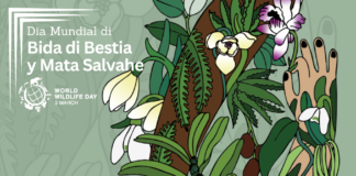 Directie Natuur en Milieu ta conmemora Dia Mundial di Bida di Bestia y Mata Salvahe 2026