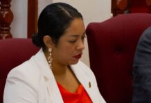 Parlamentario Stephany Sevinger: Aruba a scapa 250 Miyon Florin djis door di manda Gabinete Wever-Croes II cas