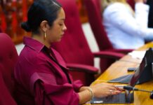 Parlamentario di AVP, Stephany Sevinger: Congestion na Palm Beach ta demanda solucion structural rapido