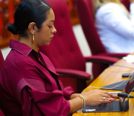 Parlamentario di AVP, Stephany Sevinger: Congestion na Palm Beach ta demanda solucion structural rapido