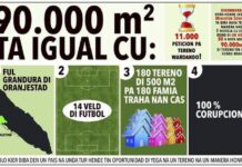 Consecuencianan real pa nos comunidad y futuro di nos hobennan: Dicon abo no por haya tereno pa traha bo cas na Aruba? Pa motibo di corupcion den caso Avestruz