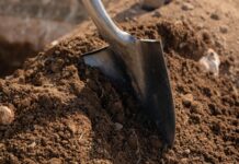 Aruba ta planta futuro durante ceremonia di plantacion na Henny Eman Boulevard: Un total di shen y un mata nativo pa embeyece y fortalece biodiversidad: Compromiso nacional cu sostenibilidad, identidad y naturalesa