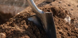 Aruba ta planta futuro durante ceremonia di plantacion na Henny Eman Boulevard: Un total di shen y un mata nativo pa embeyece y fortalece biodiversidad: Compromiso nacional cu sostenibilidad, identidad y naturalesa