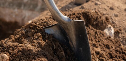 Aruba ta planta futuro durante ceremonia di plantacion na Henny Eman Boulevard: Un total di shen y un mata nativo pa embeyece y fortalece biodiversidad: Compromiso nacional cu sostenibilidad, identidad y naturalesa