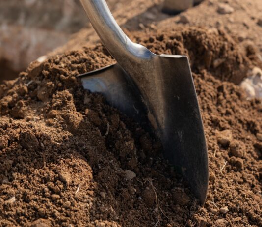 Aruba ta planta futuro durante ceremonia di plantacion na Henny Eman Boulevard: Un total di shen y un mata nativo pa embeyece y fortalece biodiversidad: Compromiso nacional cu sostenibilidad, identidad y naturalesa