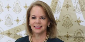 Evelyn Wever-Croes: Ya cu minister Dowers no sa su trabou, laga mi yuda minister Ddowers, con pa recobra e placa y terenonan den caso Avestrus