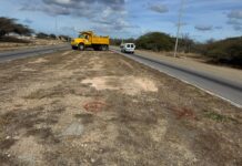 Premier Eman su vision pa restauracion di naturalesa: Proyecto di reforestacion na berm di Henny Eman Boulevard ta avansa