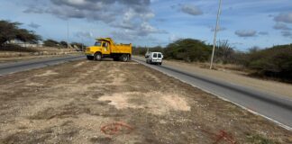 Premier Eman su vision pa restauracion di naturalesa: Proyecto di reforestacion na berm di Henny Eman Boulevard ta avansa