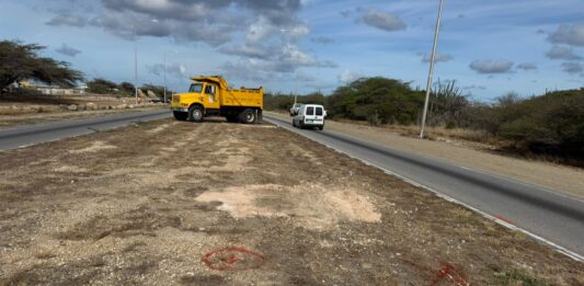Premier Eman su vision pa restauracion di naturalesa: Proyecto di reforestacion na berm di Henny Eman Boulevard ta avansa