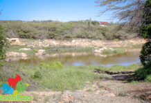 Damnan cu limitacion di awa pa motibo di secura: “Santa Rosa ta splica referente alternativa con pa surpasa e temporada aki”