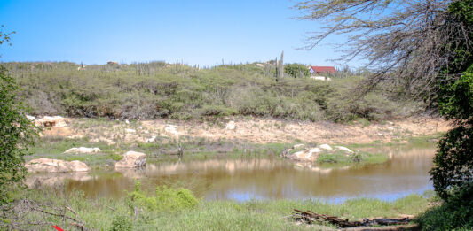 Damnan cu limitacion di awa pa motibo di secura: βSanta Rosa ta splica referente alternativa con pa surpasa e temporada akiβ