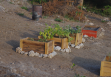 Prome Minister Mike Eman ta aplaudi inciativa di Lago Heights Community Garden: Un hardin, un comunidad, un vision comparti