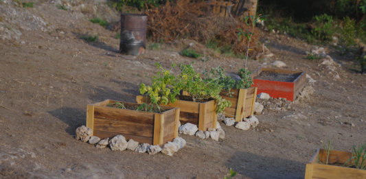 Prome Minister Mike Eman ta aplaudi inciativa di Lago Heights Community Garden: Un hardin, un comunidad, un vision comparti