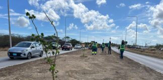 Prome Minister ta invita comunidad pa uni na e ceremonia di reforestacion Dia di Rey na Henny Eman Boulevard