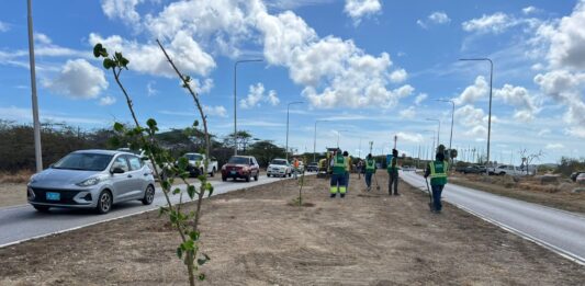 Prome Minister ta invita comunidad pa uni na e ceremonia di reforestacion Dia di Rey na Henny Eman Boulevard
