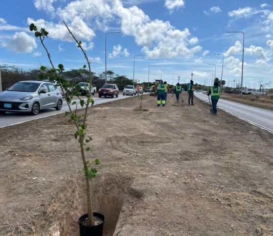 Prome Minister ta invita comunidad pa uni na e ceremonia di reforestacion Dia di Rey na Henny Eman Boulevard