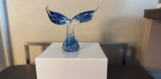 Aruba Tourism Authority a ricibi premio Aquila Whalesong Destination durante Seatrade Cruise Global: E premio ta representa forsa, sabiduria y harmonia cu ta alinia cu vision di Aruba