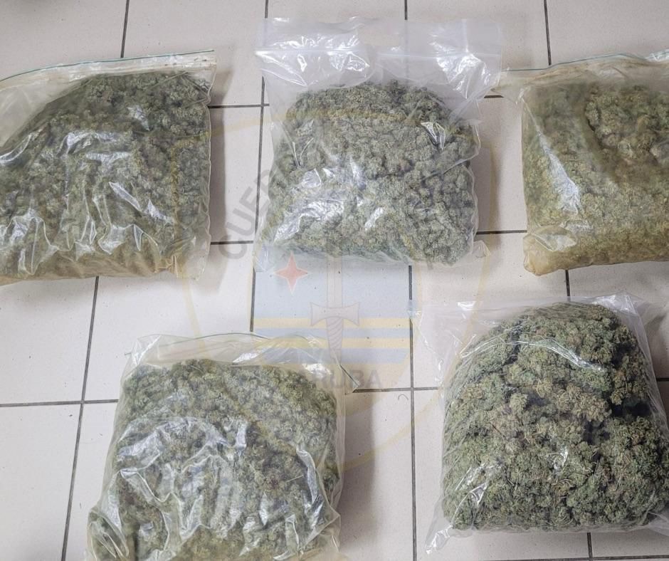 A desmantela laboratorio di droga; 4 detencion y mas di 350 mata confisca