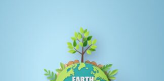 Building up steam for sustainable development