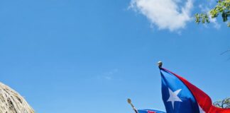 Stingray Swimming Team cu tremendo resultado durante PanAm Aquatics Open Water na Aruba