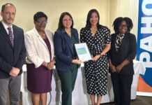 Workshop “Strengthening Rehabilitation in Aruba: From Strategy to Action” ta marca un paso importante pa futuro di rehabilitacion na Aruba