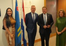 Gobierno ta fortalece cooperacion strategico: Reunion cu secretario di estado Eric van der Burg a resalta compromiso entre Aruba y Hulanda pa progreso di nos isla