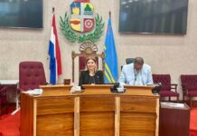 Parlamentario Jennifer Arends-Reyes:Delegacion di Aruba ta preparando pa participa den siguiente sesion di IPKO