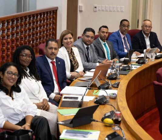 Fraccion di AVP ta apoya propuesta concreto pa atende crisis di cas y subida di huur