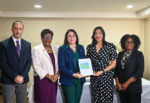Ministerio di Salubridad, DVG y PAHO ta promove colaboracion pa revalidacion na Aruba: Workshop nacional y introduccion oficial di Comision Nacional ta marca siguiente paso den implementacion di Plan Strategico pa Revalidacion y Medionan di Apoyo