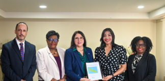 Ministerio di Salubridad, DVG y PAHO ta promove colaboracion pa revalidacion na Aruba: Workshop nacional y introduccion oficial di Comision Nacional ta marca siguiente paso den implementacion di Plan Strategico pa Revalidacion y Medionan di Apoyo